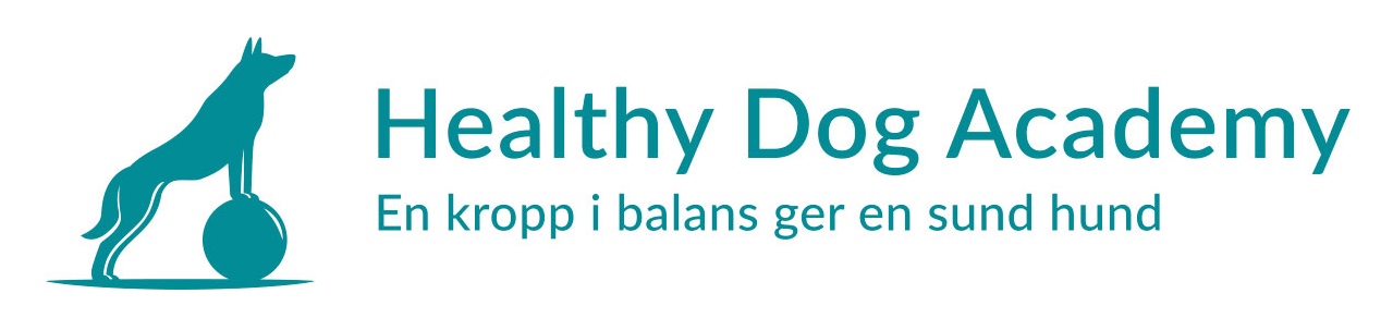 Healthy Dog Academy Logo