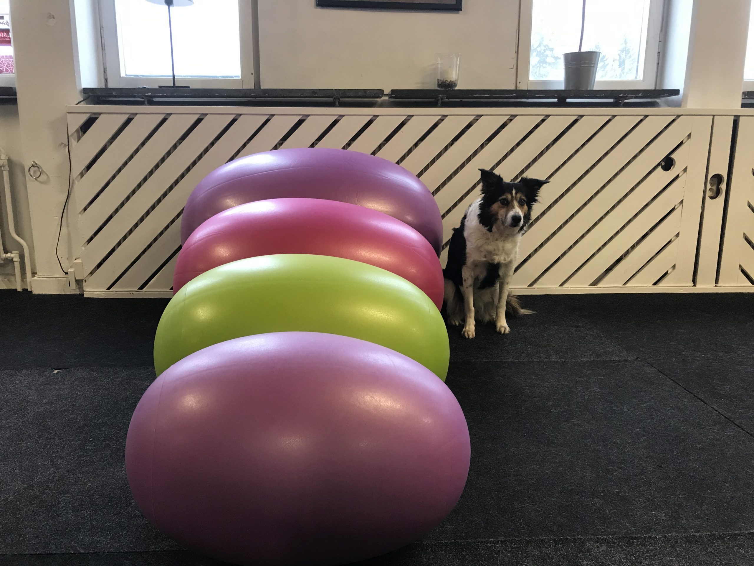 Balansbollar