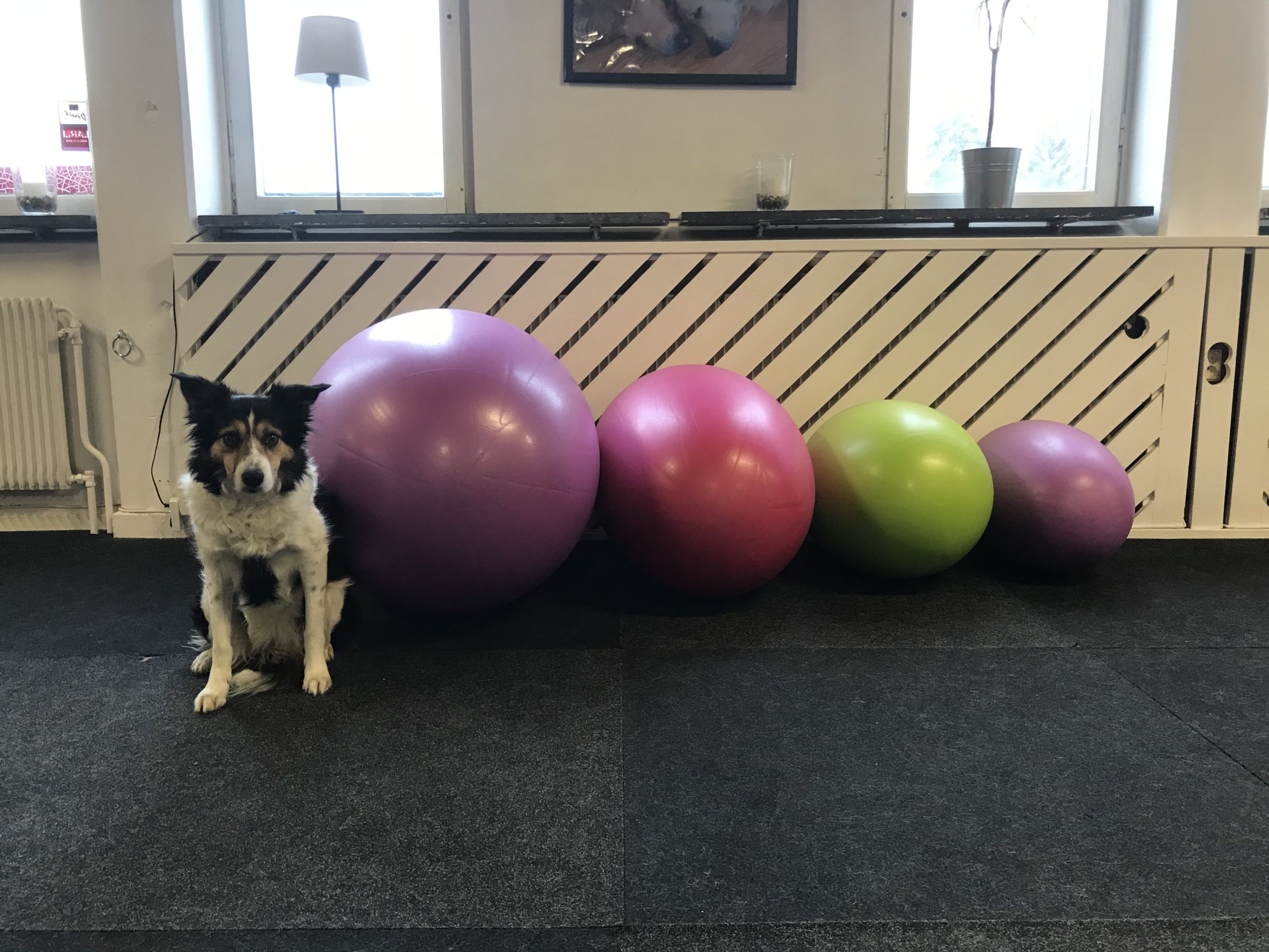 Balansbollar